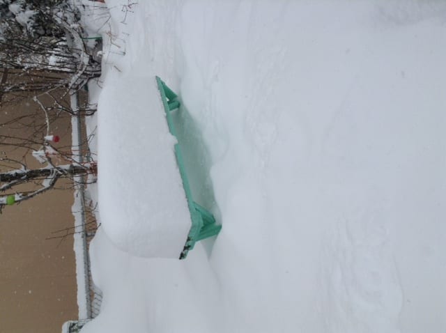 EdSchmidt-Anaconda-Feb25Snow