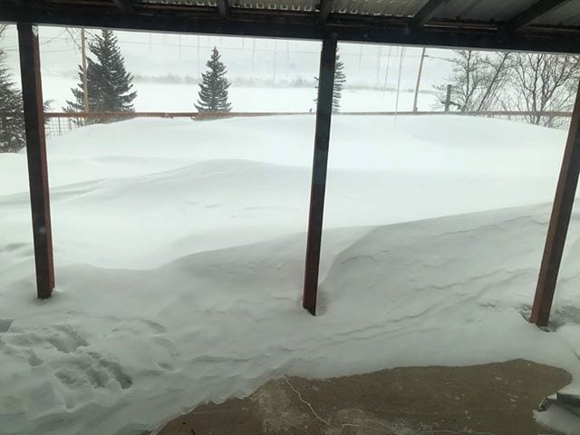 LynnBacon-Feb25snowCherrydrive